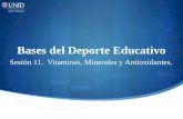 Bases del Deporte Educativo Sesión 11. Vitaminas, Minerales y Antioxidantes.