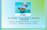 III Unidad: Ecosistemas y Recursos naturales Ciclos biogeoquímicos 2° parte C.D.E.E. Sandra Vázquez Coria.