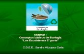 UNIDAD I Conceptos básicos de Ecología Los Ecosistemas 2° parte C.D.E.E.. Sandra Vázquez Coria.