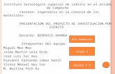 Instituto tecnológico superior de calkini en el estado de Campeche Carrera: ingeniería en la ciencia de los materiales PRESENTACION DEL PROYECTO DE INVESTIGACION.