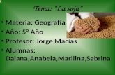 Tema: La soja Materia: Geografía Año: 5° Año Profesor: Jorge Macías Alumnas: Daiana,Anabela,Marilina,Sabrina.