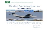 Informe sector aeronautico andaluz 2009