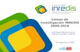 CEX_Lineas de Investigación Inredis 2009-2010