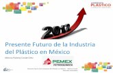 mercado plásticos 2012 (1)