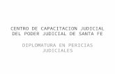 CENTRO DE CAPACITACION JUDICIAL DEL PODER JUDICIAL DE SANTA FE DIPLOMATURA EN PERICIAS JUDICIALES.