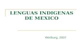Lenguas indigenas de mexico