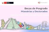 Becas de Posgrado Maestrías y Doctorados Argentina- Brasil-Chile-Colombia-España-México.