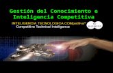 Gestión del Conocimiento e Inteligencia Competitiva.
