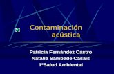 Contaminación acústica Patricia Fernández Castro Natalia Sambade Casais 1ºSalud Ambiental.