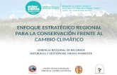 GRUPO TÉCNICO REGIONAL FRENTE AL CAMBIO CLIMÁTICO ENFOQUE ESTRATÉGICO REGIONAL PARA LA CONSERVACIÓN FRENTE AL CAMBIO CLIMÁTICO GERENCIA REGIONAL DE RECURSOS.