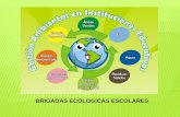 Diapositivas de brigadas ecologicas