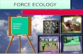 Force ecology eddy fer