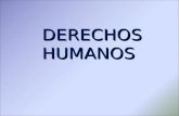 Los Derechos humanos Peru  Power point