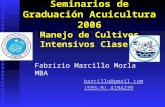 Seminarios de Graduación Acuicultura 2006 Manejo de Cultivos Intensivos Clase 1 Fabrizio Marcillo Morla MBA barcillo@gmail.com (593-9) 4194239 (593-9)