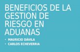 BENEFICIOS DE LA GESTION DE RIESGO EN ADUANAS MAURICIO DÁVILA CARLOS ECHEVERRIA.