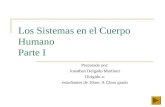 Los Sistemas en el Cuerpo Humano Parte I Preparado por: Jonathan Delgado Martínez Dirigido a: estudiantes de 10mo. A 12mo grado.