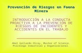 Prevención de Riesgos en Faena Minera INTRODUCCIÓN A LA CONDUCTA PROACTIVA A LA PREVENCIÓN DE RIESGOS DE INCIDENTES Y ACCIDENTES EN EL TRABAJO Abel Gallardo.