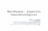 Marihuana: aspectos neurobiológicos Pablo A. Zumaeta MÉDICO NEURÓLOGO Profesor de Psicobiología Universidad Científica del Sur Profesor de Neurología Universidad.