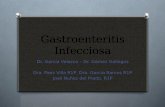Gastroenteritis Infecciosa Dr. García Velazco – Dr. Gómez Gallegos Dra. Paez Villa R1P, Dra. García Ramos R1P José Nuñez del Prado. R1P.