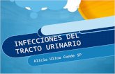INFECCIONES DEL TRACTO URINARIO Alicia Ulloa Conde IP.