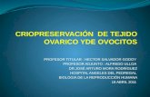 PROFESOR TITULAR : HECTOR SALVADOR GODOY PROFESOR ADJUNTO : ALFREDO ULLOA DR.JOSÉ ARTURO MORA RODRÍGUEZ HOSPITAL ANGELES DEL PEDREGAL BIOLOGIA DE LA REPRODUCCIÓN.