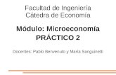 Facultad de Ingeniería Cátedra de Economía Módulo: Microeconomía PRÁCTICO 2 Docentes: Pablo Benvenuto y María Sanguinetti.