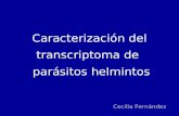 Caracterización del transcriptoma de parásitos helmintos Cecilia Fernández.