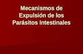 Mecanismos de Expulsión de los Parásitos Intestinales.