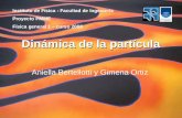 Instituto de Física - Facultad de Ingeniería Proyecto PMME Física general 1 – curso 2008 Dinámica de la partícula Aniella Bertellotti y Gimena Ortiz.