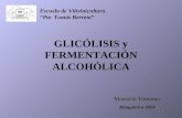 1 GLICÓLISIS y FERMENTACIÓN ALCOHÓLICA Mauricio Tomasso Bioquímica 2004 Escuela de Vitivinicultura Pte. Tomás Berreta.