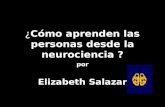 ¿ Cómo aprenden las personas desde la neurociencia ? por Elizabeth Salazar.