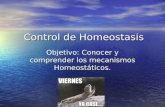 Control de Homeostasis Objetivo: Conocer y comprender los mecanismos Homeostáticos.