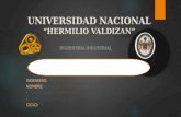 UNIVERSIDAD NACIONAL HERMILIO VALDIZAN INGENIERÍA INDUSTRIAL.