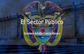 El Sector Público Gustavo Adolfo García Henao. Sectores Privado Busca atender problemas particulares de cada individuo a través del desarrollo de actividades.