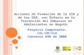 Acciones de Promoción de la SSR y de los DSR, con Énfasis en la Prevención del Embarazo en Adolescentes en Bogotá. Proyecto Componente: COL/5R/11A Convenio.