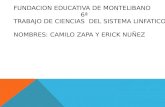 FUNDACION EDUCATIVA DE MONTELIBANO 6ª TRABAJO DE CIENCIAS DEL SISTEMA LINFATICO NOMBRES: CAMILO ZAPA Y ERICK NUÑEZ.