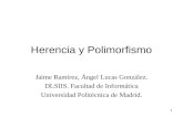 1 Herencia y Polimorfismo Jaime Ramírez, Ángel Lucas González. DLSIIS. Facultad de Informática Universidad Politécnica de Madrid.