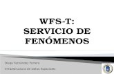 WFS-T: SERVICIO DE FENÓMENOS Diego Fernández Ferrero Infraestructura de Datos Espaciales.