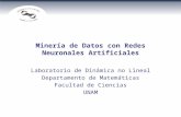 Minería de Datos con Redes Neuronales Artificiales Laboratorio de Dinámica no Lineal Departamento de Matemáticas Facultad de Ciencias UNAM.