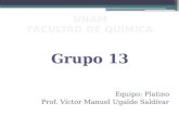 Grupo 13 Equipo: Platino Prof. Víctor Manuel Ugalde Saldívar.