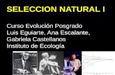 SELECCION NATURAL I Curso Evolución Posgrado Luis Eguiarte, Ana Escalante, Gabriela Castellanos Instituto de Ecología.