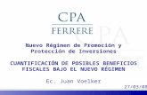 Nuevo Régimen de Promoción y Protección de Inversiones CUANTIFICACIÓN DE POSIBLES BENEFICIOS FISCALES BAJO EL NUEVO RÉGIMEN Ec. Juan Voelker 27/03/08.