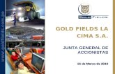 Www.goldfields.com.pe GOLD FIELDS LA CIMA S.A. 15 de Marzo de 2010 JUNTA GENERAL DE ACCIONISTAS.