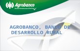 AGROBANCO, BANCO DE DESARROLLO RURAL. Contenido - Planeamiento Estratégico - Participación y Crecimiento de Cartera - Plazo de Colocaciones - Crecimiento.