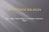 Por: Alba Teno Miján y Cristian Romero Díaz. En el siguiente trabajo desarrollamos algunas ideas sobre la Neurosociología que aparecen en Neurocultura,