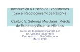 Introducción al Diseño de Experimentos para el Reconocimiento de Patrones Capítulo 5: Sistemas Modulares, Mezcla de Expertos y Sistemas Híbridos Curso.
