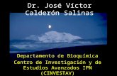 Dr. José Víctor Calderón Salinas Departamento de Bioquímica Centro de Investigación y de Estudios Avanzados IPN (CINVESTAV)