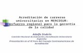 Adolfo Stubrin Comisión Nacional de Evaluación y Acreditación Universitaria Argentina Presentación en el VI Foro del Consejo Centroamericano de Acreditación.