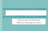 EL CONSUMO Educación Ambiental Mónica Rodríguez Díez.