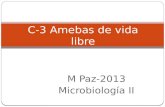 M Paz-2013 Microbiología II C-3 Amebas de vida libre.